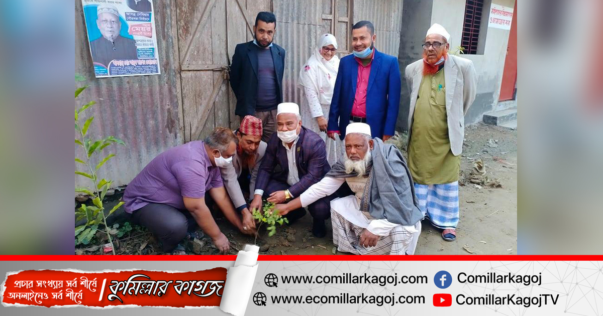 মুজিববর্ষ উপলক্ষে দেবিদ্বার সাব-রেজিস্ট্রার অফিসে বৃক্ষরোপন মুজিববর্ষ উপলক্ষে দেবিদ্বার সাব-রেজিস্ট্রার অফিসে বৃক্ষরোপন