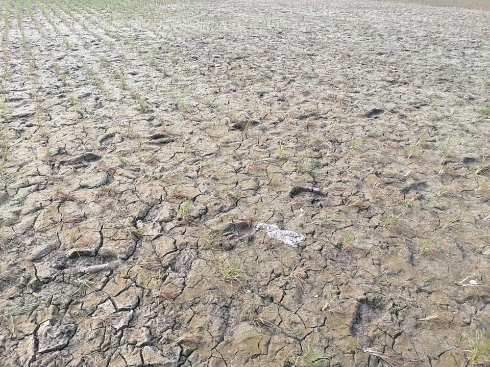 ঢাকা-চট্টগ্রাম মহাসড়কে অবৈধ স্থাপনা উচ্ছেদ