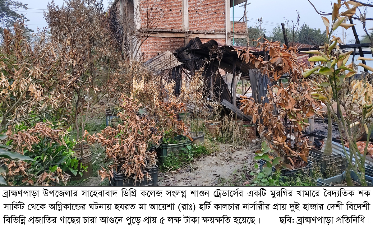 ব্রাহ্মণপাড়ায় অগ্নিকান্ডে ক্ষতিগ্রস্থ নার্সারী মালিকের মাথায় হাত