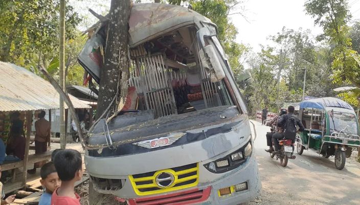 নিয়ন্ত্রণ হারিয়ে গাছে বাসের ধাক্কা, ১০ যাত্রী আহত