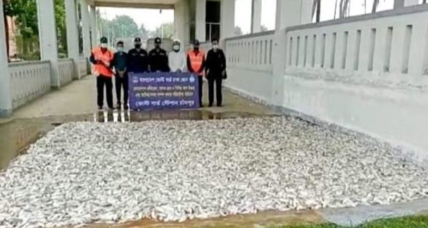 চাঁদপুরে কোস্টগার্ডের অভিযানে ১২শ কেজি জাটকা জব্দ সহ আটক তিন চাঁদপুরে কোস্টগার্ডের অভিযানে ১২শ কেজি জাটকা জব্দ সহ আটক তিন