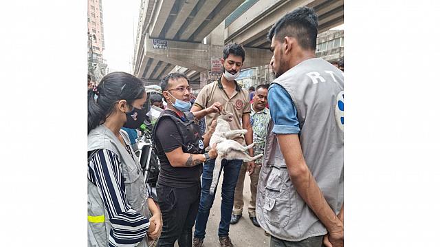 ফ্লাইওভারে আটকে পড়া বিড়াল উদ্ধার করলো রবিনহুড! ফ্লাইওভারে আটকে পড়া বিড়াল উদ্ধার করলো রবিনহুড!