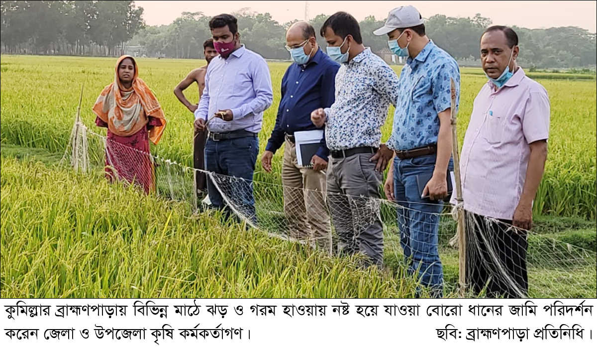 ব্রাহ্মণপাড়ায় কালবৈশাখী ঝড়ে স্বপ্ন ভঙ্গ কৃষকের