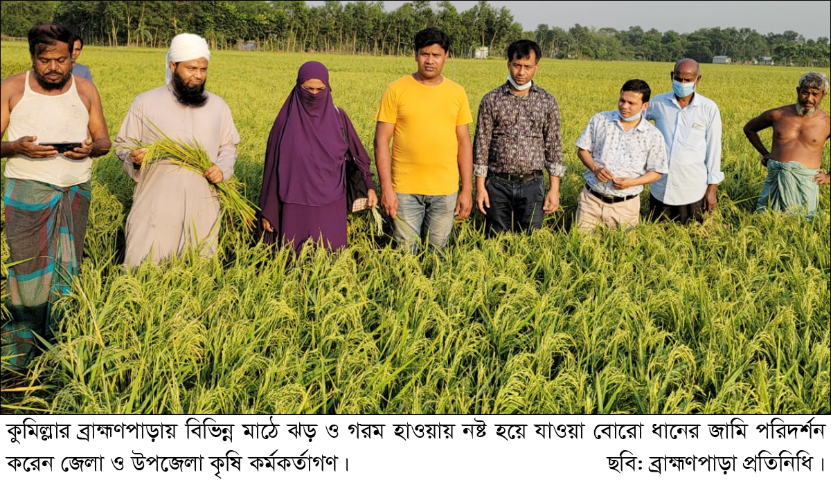 ব্রাহ্মণপাড়ায় কালবৈশাখী ঝড়ে স্বপ্ন ভঙ্গ কৃষকের