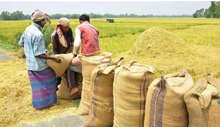 ৪০ টাকায় সেদ্ধ, ৩৯ টাকায় আতপ চাল কিনবে সরকার