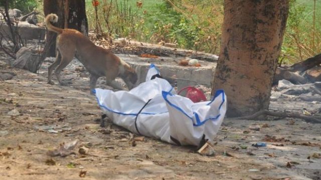 মৃত্যুপুরী দিল্লির রাস্তায় মরদেহ ছিঁড়ে খাচ্ছে কুকুর