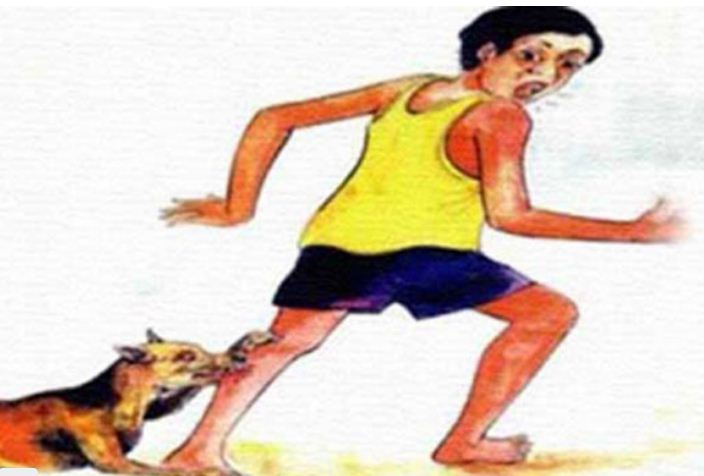 ৫ ঘণ্টায় ২৩ জনকে কামড়াল এক কুকুর! 