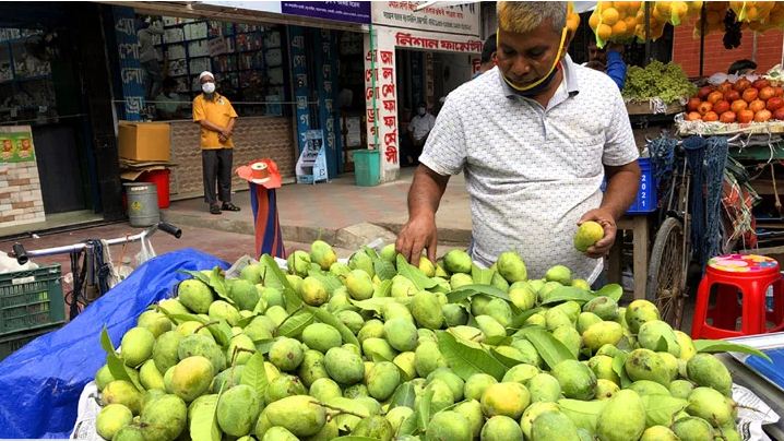 নির্ধারিত সময়ের আগেই রাজশাহীর বাজারে পাকা আম