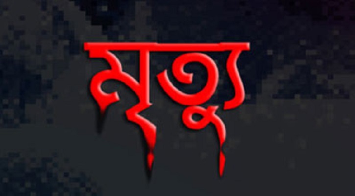 মাইক্রোবাস উল্টে যুবকের মৃত্যু