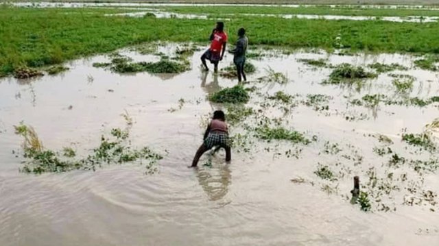 উজানের ঢলে গঙ্গাচড়ার ১৫ গ্রাম প্লাবিত