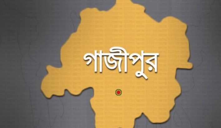 চার দিনের ব্যবধানে দুই ভাইয়ের প্রাণ গেলো করোনায়