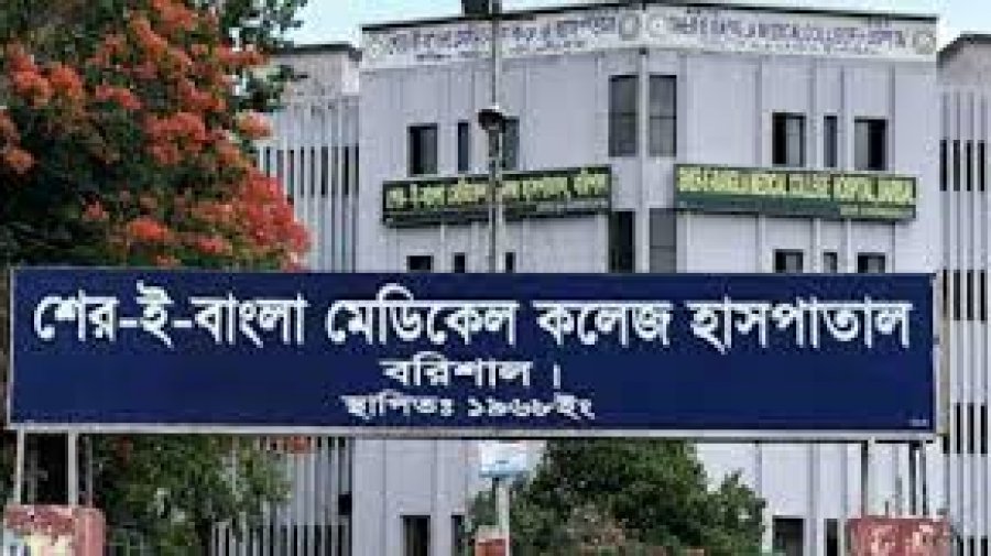 শের-ই বাংলা মেডিক্যালে ৭৮৬ রোগীর মৃত্যু