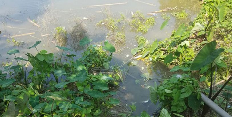 নেশার ঘোরে পানিতে ডুবে মারা গেলেন যুবক