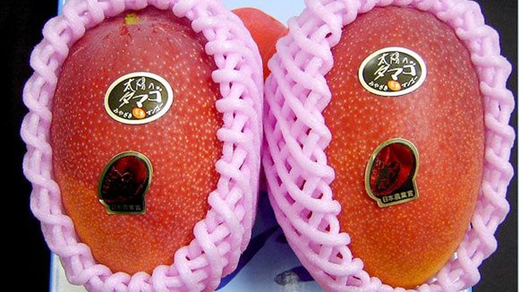 একজোড়া আমের দাম ৩ লাখ! (ভিডিও)