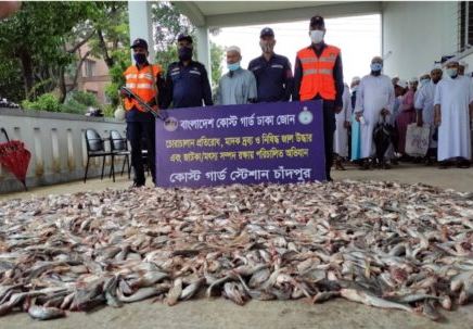 চাঁদপুরে ১৫ মণ পাঙ্গাস মাছের পোনা জব্দ