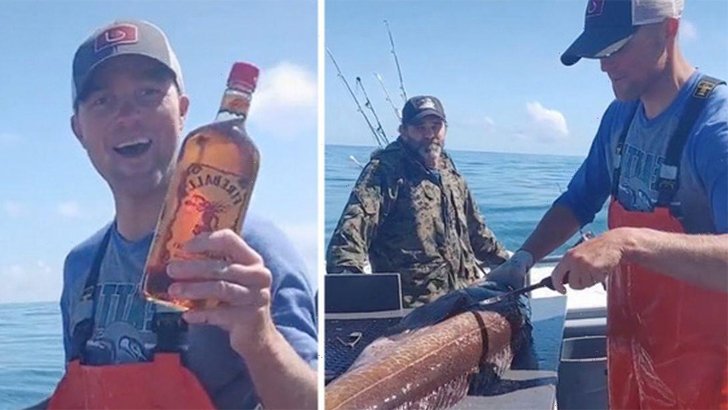 মাছের পেটে মিলল আস্ত হুইস্কির বোতল! (ভিডিও)