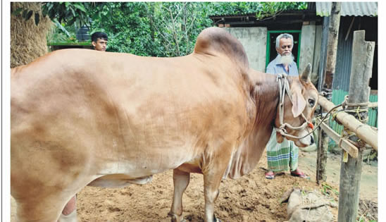 সম্রাটের ওজন ২০ মণ দাম ৮ লাখ টাকা