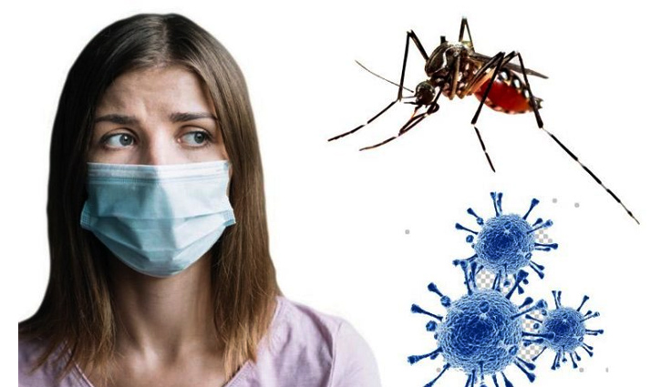 ডেঙ্গু, ম্যালেরিয়া না কি করোনায় আক্রান্ত বুঝবেন যেভাবে