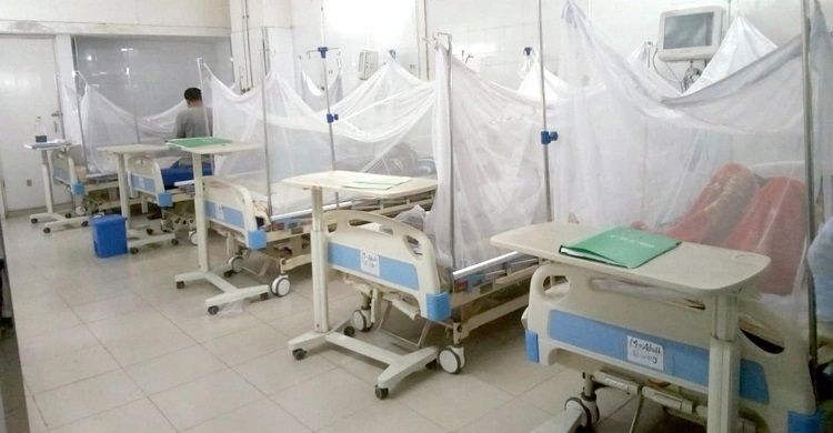 এক দিনে ৩১৫ ডেঙ্গু রোগী হাসপাতালে