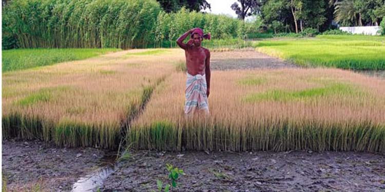 এ কেমন শত্রুতা
