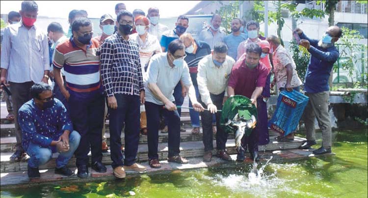 কুমিল্লায় পোনা মাছ অবমুক্ত করলেন এমপি বাহার
