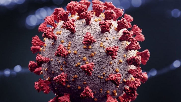 করোনায় শনাক্ত ও মৃত্যু আরও কমল