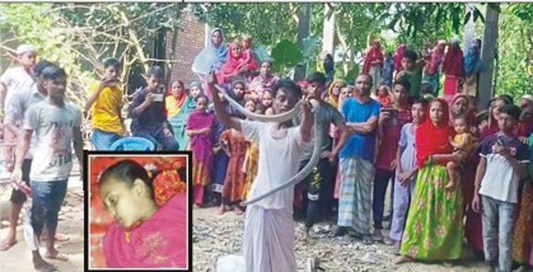 সাপে কাটা স্কুল ছাত্রী চিকিৎসা পায়নি কুমিল্লা মেডিক্যালে