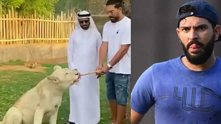 ‘বাঘের সঙ্গে লড়াই’ ভারতের সাবেক তারকার, ভিডিও ভাইরাল