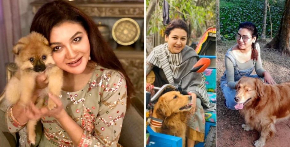 ‘প্রাণবিক বন্ধু’ স্বীকৃতি পাচ্ছেন জয়া আহসান