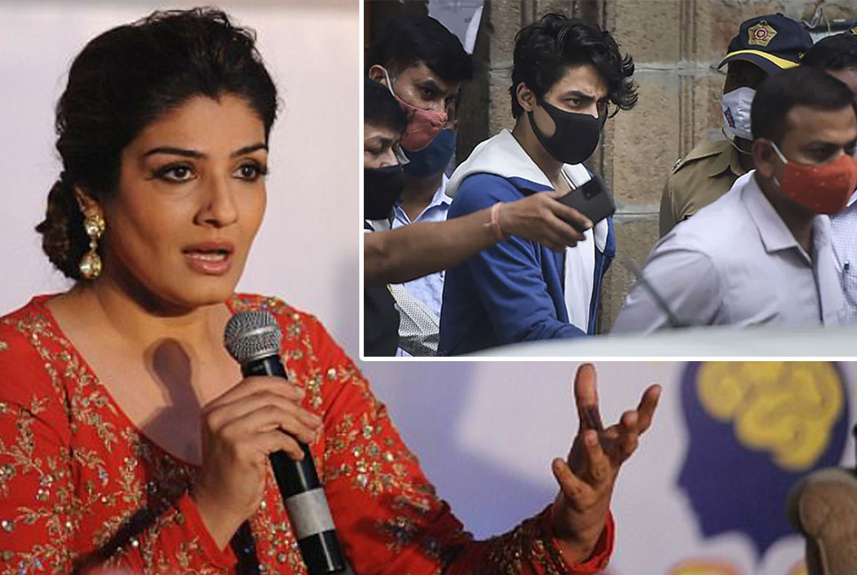 শাহরুখ-পুত্রকে গ্রেফতারে ক্ষুব্ধ রবিনা, বললেন ‘নোংরা রাজনীতির খেলা হচ্ছে..!