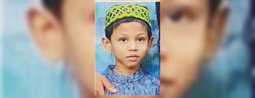 দেবিদ্বারে ভীমরুলের কামড়ে শিশুর মৃত্যু