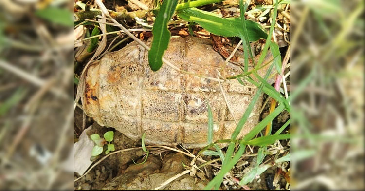 চৌদ্দগ্রামে গ্রেনেড উদ্ধার