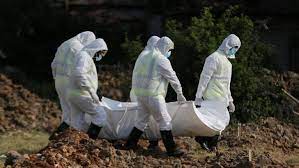 করোনায় আরও সাতজনের মৃত্যু, শনাক্ত ৩০৬