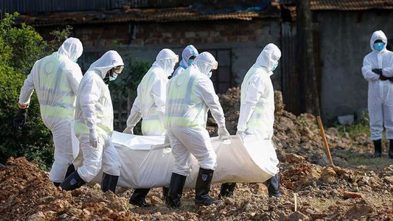 আট জনের মৃত্যু, শনাক্ত ১৬৬