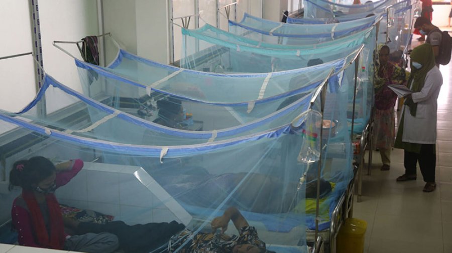 ডেঙ্গুতে হাসপাতালে ভর্তি আরও ১৩১ জন