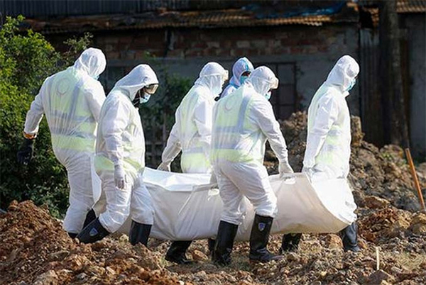 করোনায় আরও ৭ মৃত্যু 