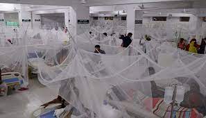 ডেঙ্গু আক্রান্ত আরও ৮৯ রোগী হাসপাতালে