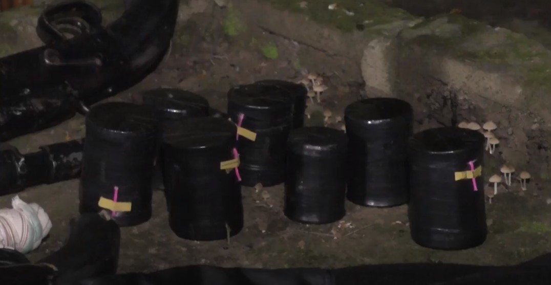 কাউন্সিলর হত্যা: এলজি, পাইপগান,গুলি উদ্ধার