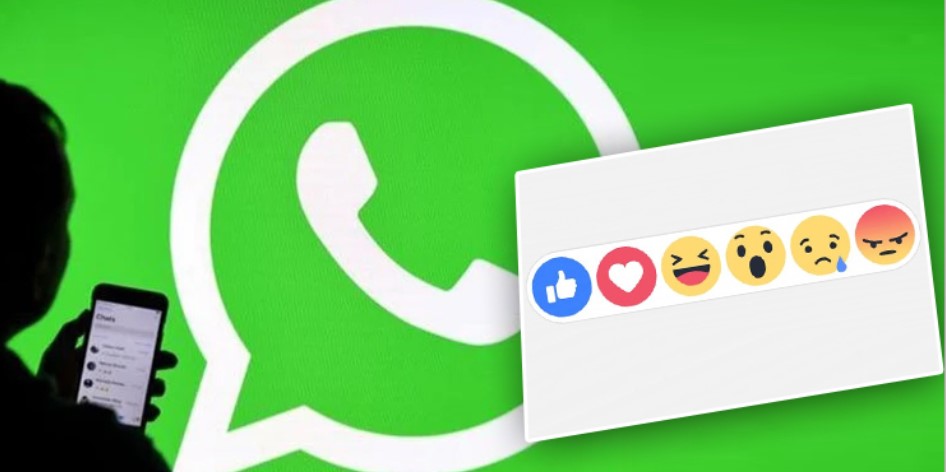 মেসেজ রিঅ্যাকশন দেওয়া যাবে হোয়াটসঅ্যাপে