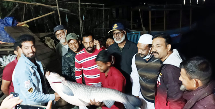 ধর্মসাগরে মিললো ৩০ কেজি ওজনের ব্ল্যাক কার্প মাছ!