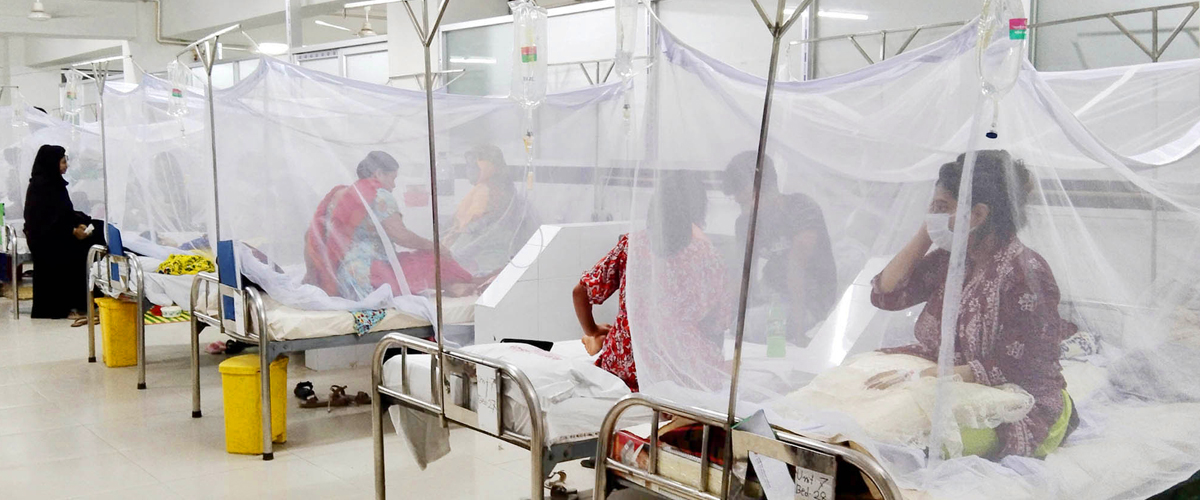 দেশে আরও ৫৬ ডেঙ্গু রোগী হাসপাতালে ভর্তি