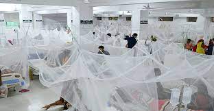 একদিনে হাসপাতালে আরও ৬০ ডেঙ্গুরোগী