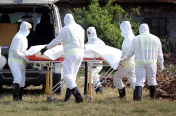 দেশে করোনায় মৃত্যু কমেছে, শনাক্ত ২১১