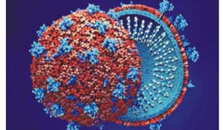 এক দিনে শনাক্ত বেড়ে ২৪৫৮