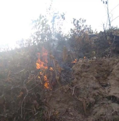 শাবির ৪ টিলায় আগুন, শিক্ষার্থীদের উদ্বেগ