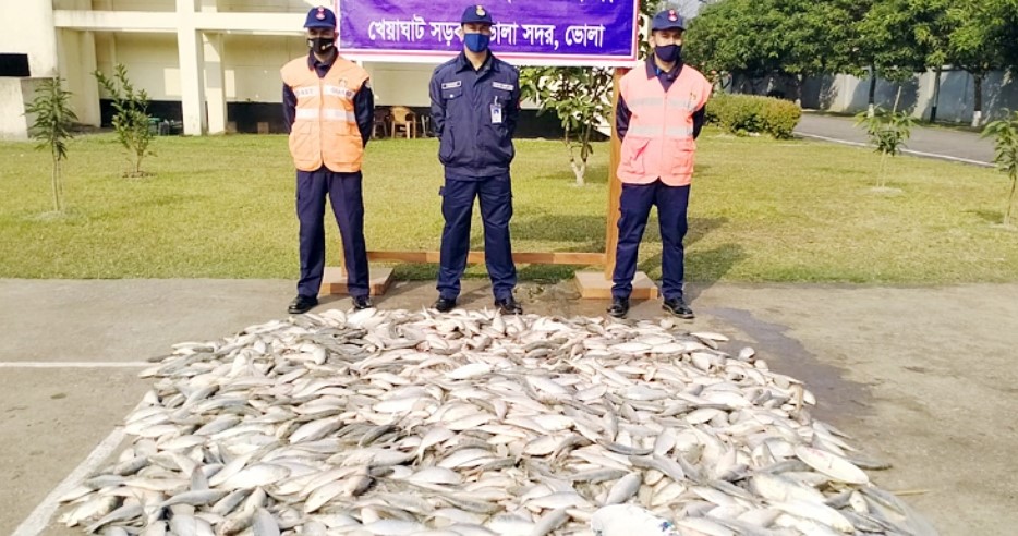 চার পিকআপে মিললো ৬০০ কে‌জি জাটকা
