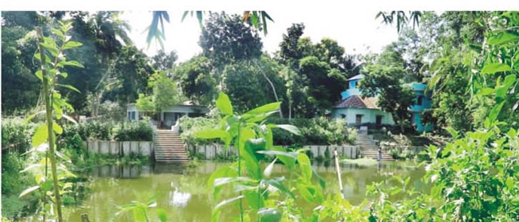 বাগান বাড়িটি নজর কাড়ে পথচারীদের