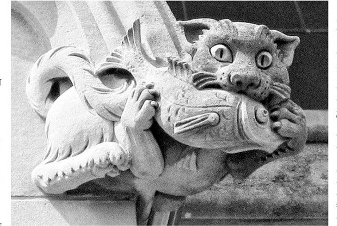 রবিবাসরীয়...