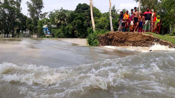 টাঙ্গাইলে বন্যায় প্লাবিত ১১৪টি গ্রাম