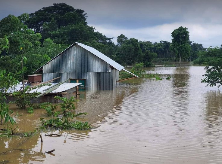 দেবিদ্বারে চরের বাড়িঘর ছাড়ছে বাসিন্দারা